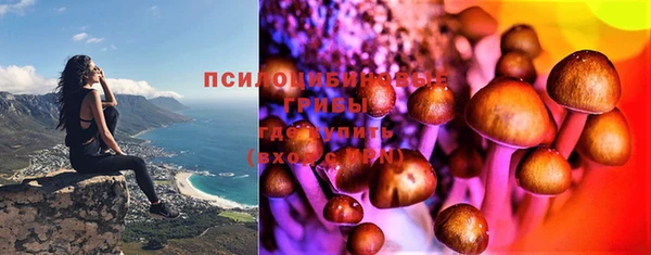 крисы Пестово