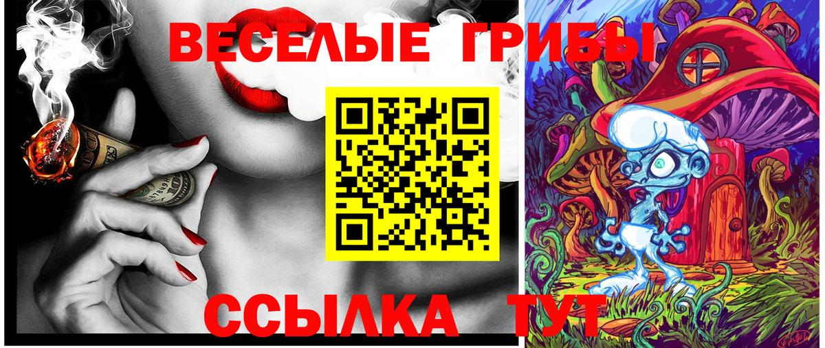 Бахчисарай  Галлюциногенные грибы Psilocybe  Вход с VPN 