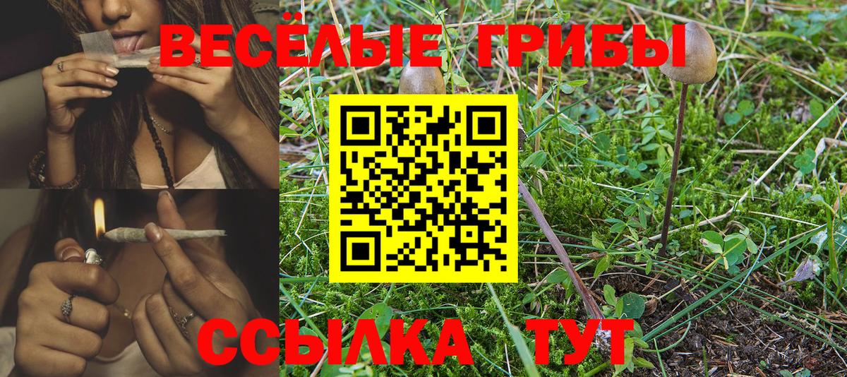 Псилоцибиновые грибы GOLDEN TEACHER  Бахчисарай  Галлюциногенные грибы Cubensis 