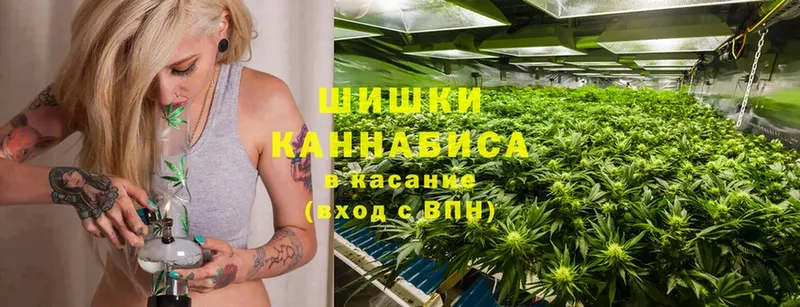 Шишки марихуана White Widow  Бахчисарай 